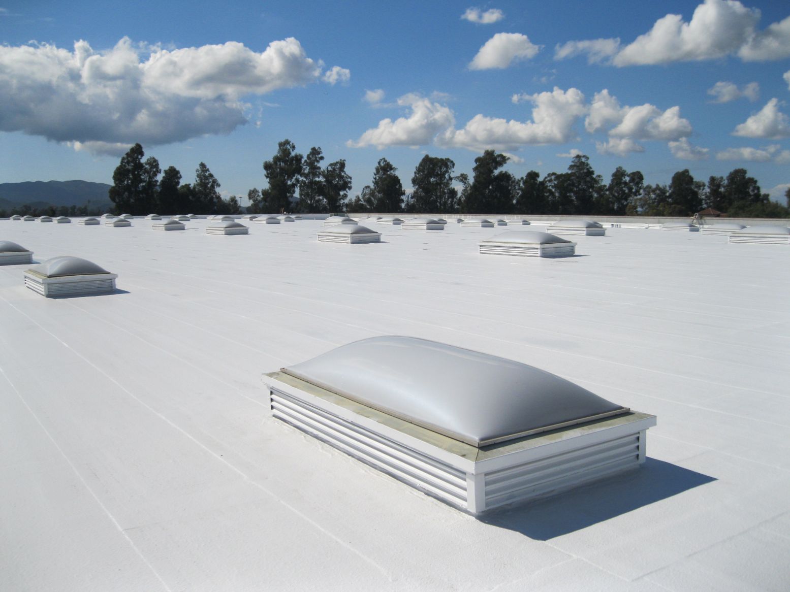 What is TPO roofing?