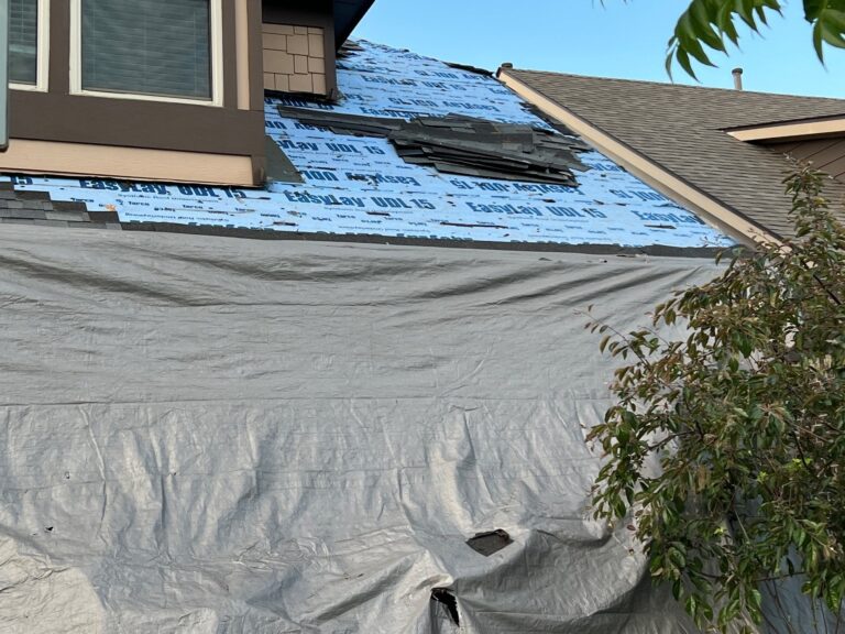 370a695c-5a14-4620-ae64-4d62a4dd6b64