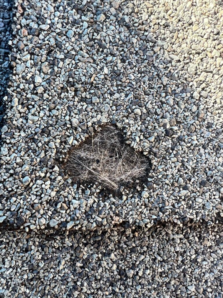 7d8035a1-844e-455a-bc97-e197b108adbc