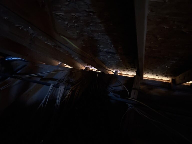 92cd620c-cb9f-4624-93c4-3cfff8c73304