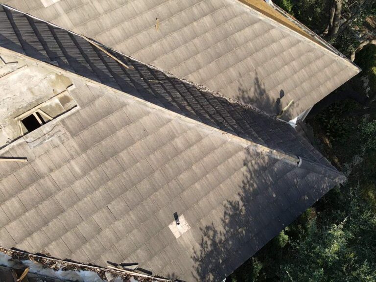 cactus-on-roof-san-antonio-tx